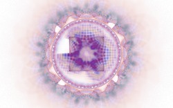 2014 04 30 Webs and Things 23-white.jpg